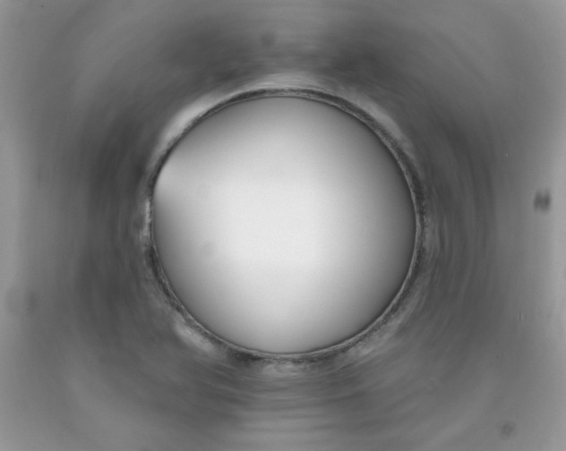 X0000091701366200709141051