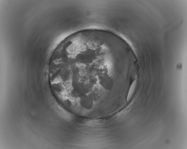 X0000091701367200709141051