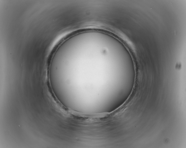 X0000091701368200709141051