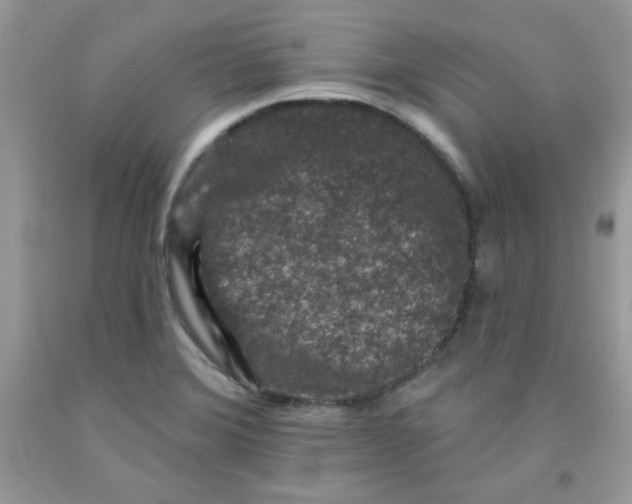 X0000091701372200709141051