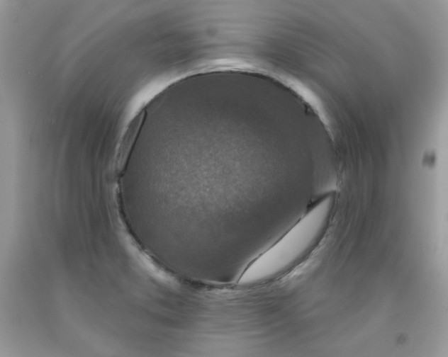 X0000091701373200709141051