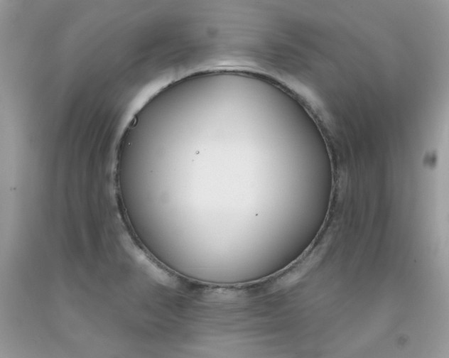 X0000091701374200709141051