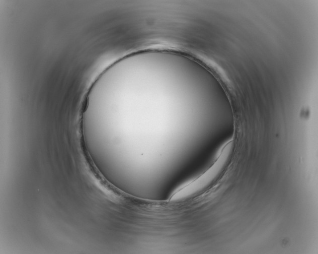 X0000091701375200709141051