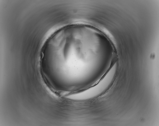 X0000091701376200709141051