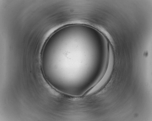 X0000091701380200709141051