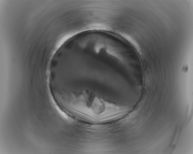 X0000091701383200709141051