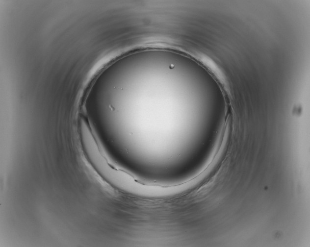 X0000091701384200709141051