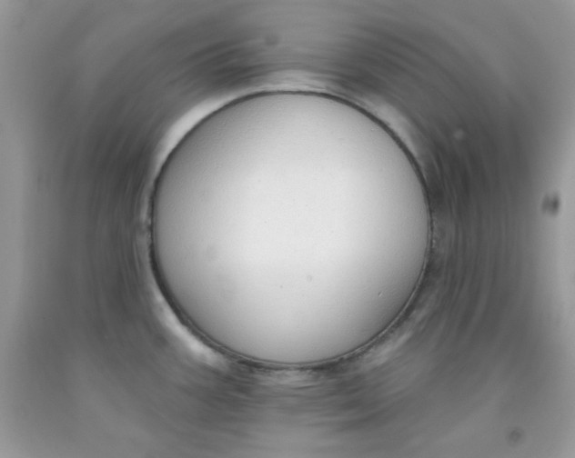 X0000091701387200709141051