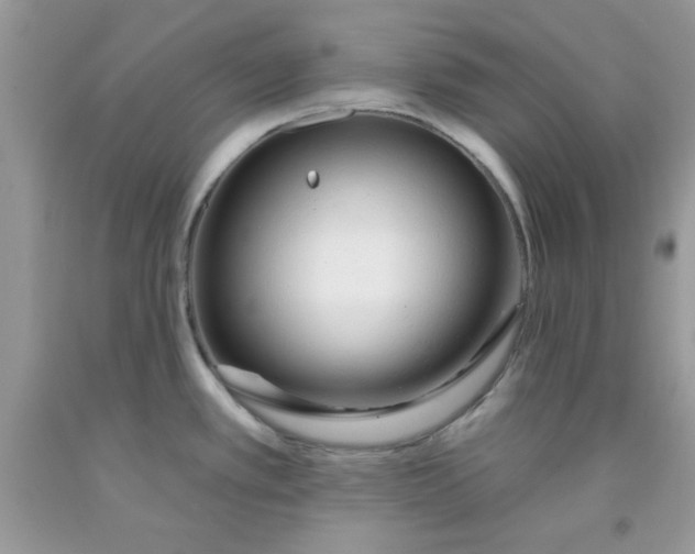 X0000091701389200709141051