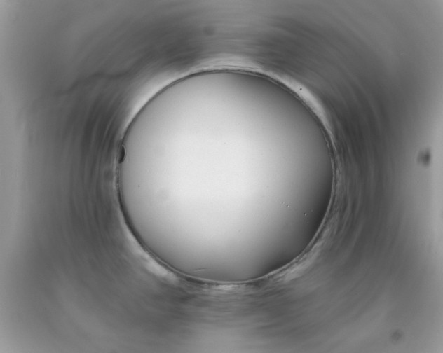 X0000091701390200709141051