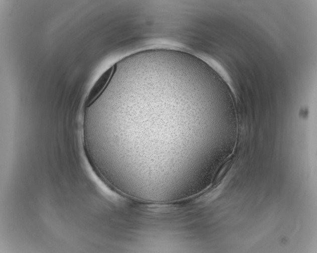 X0000091701391200709141051