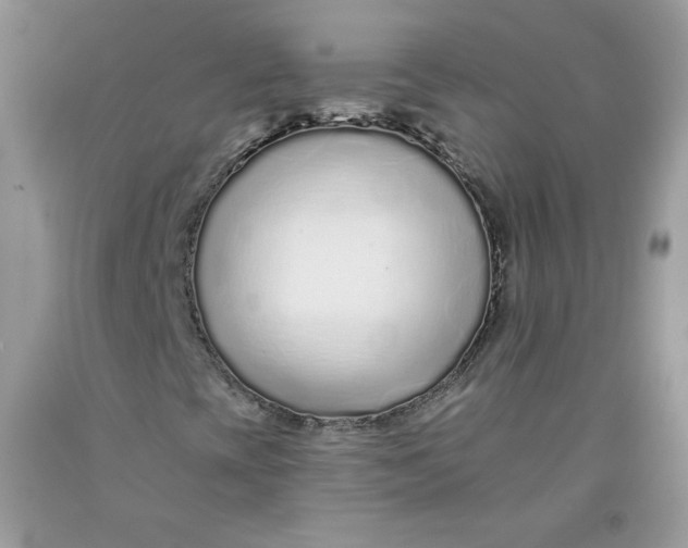 X0000091701393200709141050