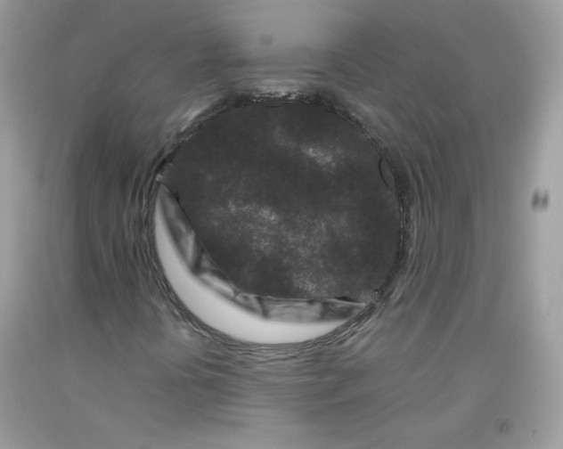 X0000091701394200709141050