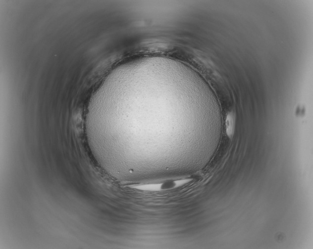 X0000091701395200709141050