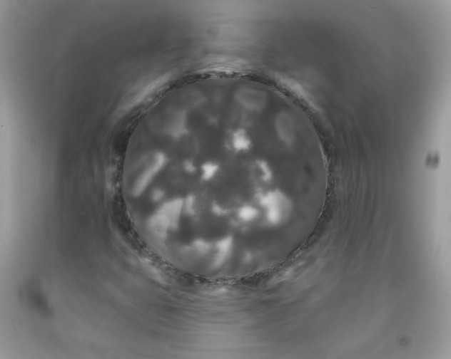 X0000091701399200709141050