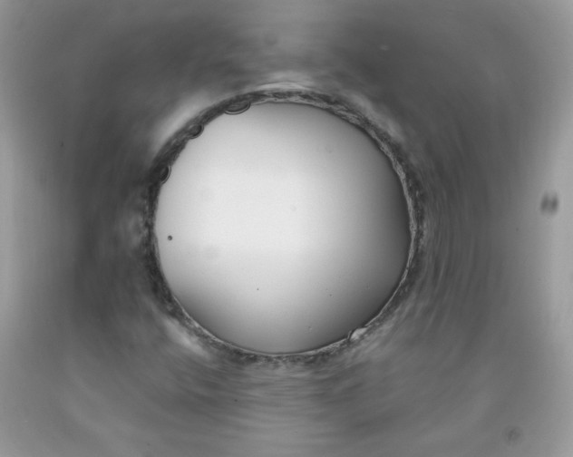 X0000091701400200709141050