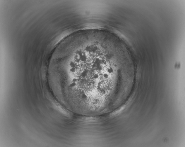 X0000091701401200709141050