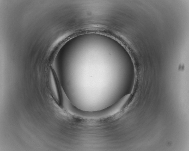 X0000091701402200709141050