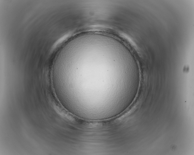 X0000091701403200709141050