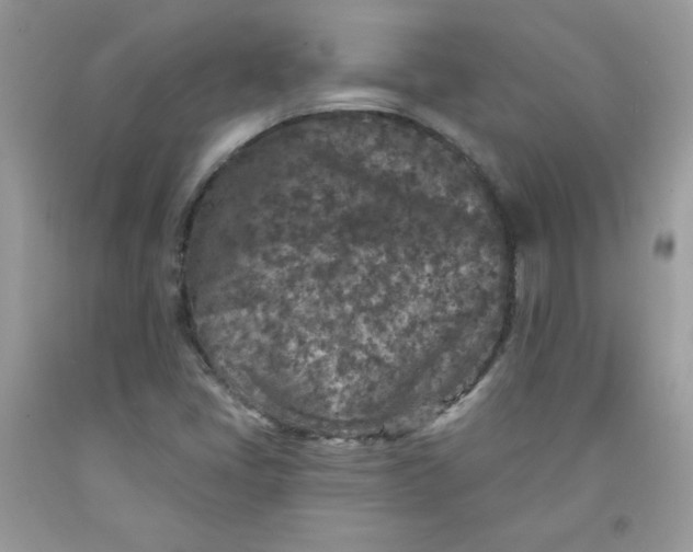 X0000091701405200709141050