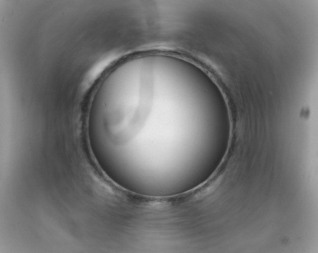 X0000091701406200709141050