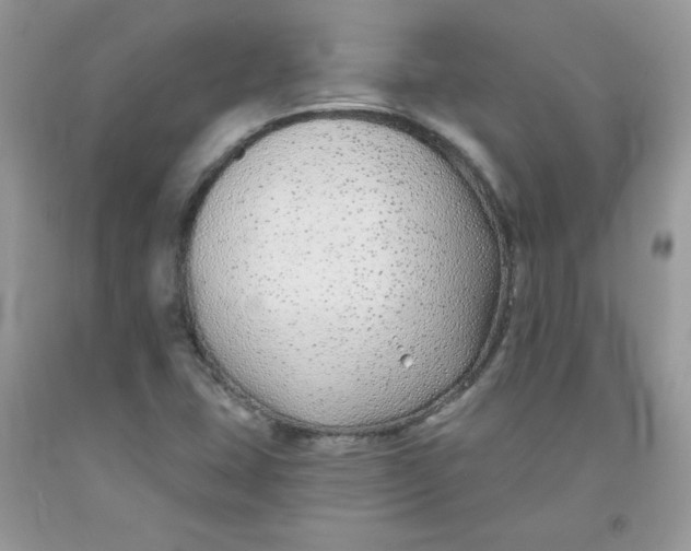 X0000091701407200709141050