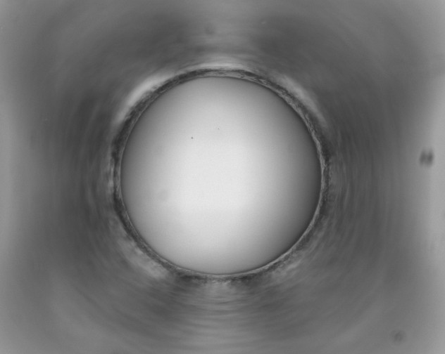 X0000091701408200709141050