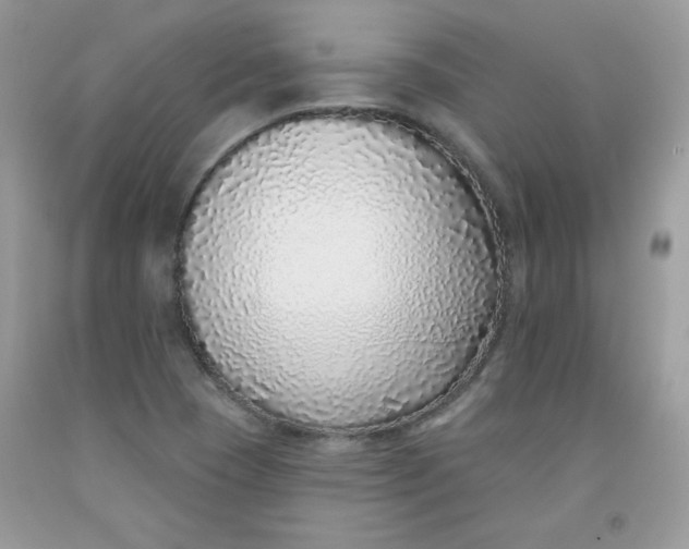 X0000091701409200709141050