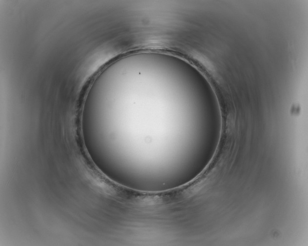 X0000091701410200709141050