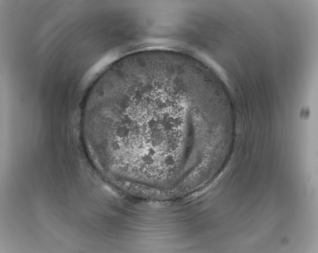 X0000091701411200709141050