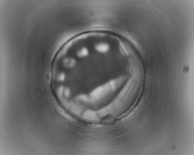 X0000091701413200709141050