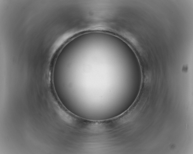 X0000091701414200709141050