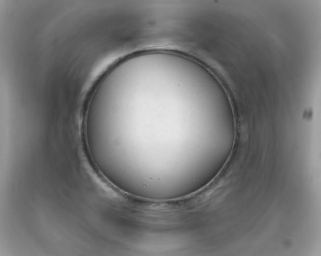 X0000091701416200709141050