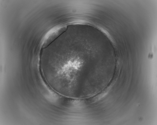 X0000091701418200709141050