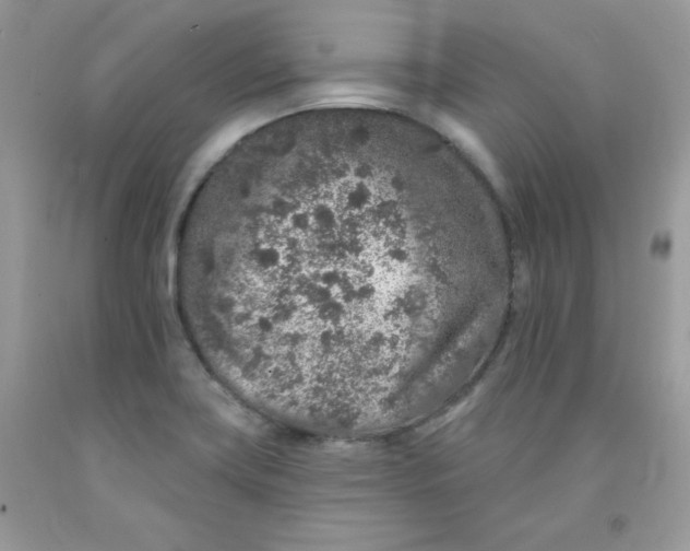 X0000091701419200709141050