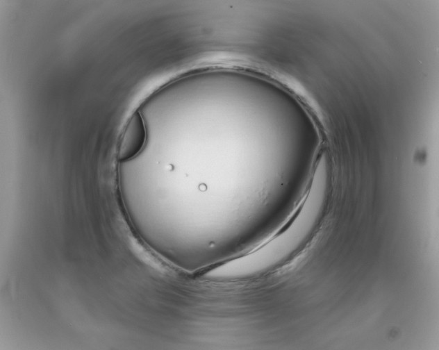 X0000091701421200709141050