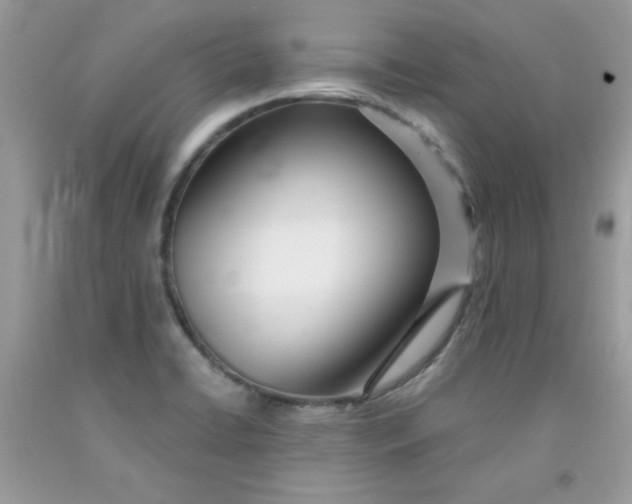 X0000091701422200709141050