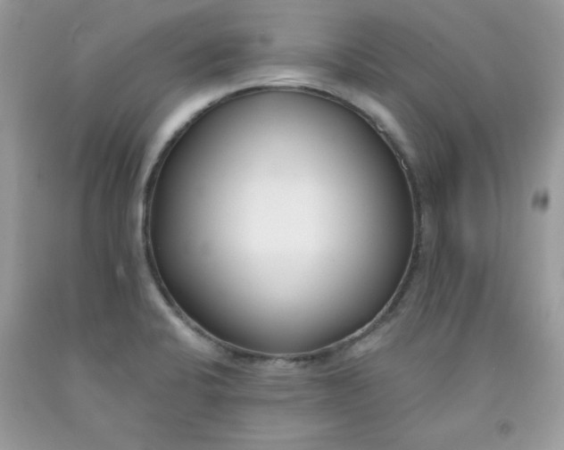 X0000091701424200709141050