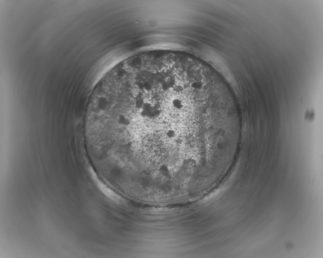 X0000091701425200709141050