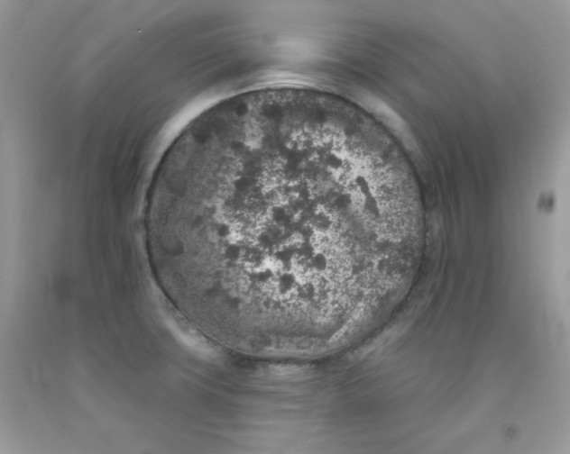 X0000091701427200709141050