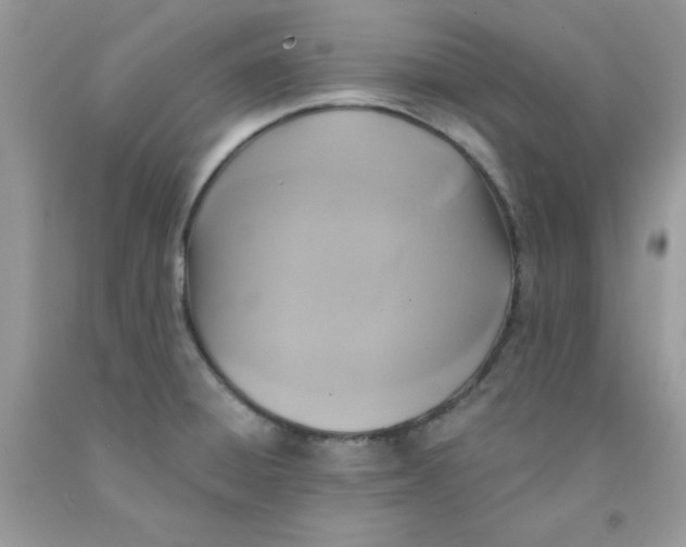 X0000091701428200709141050