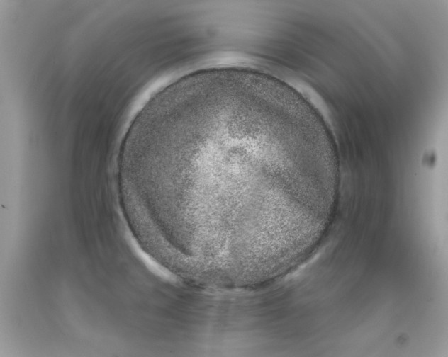 X0000091701429200709141050