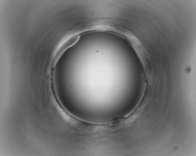 X0000091701430200709141050