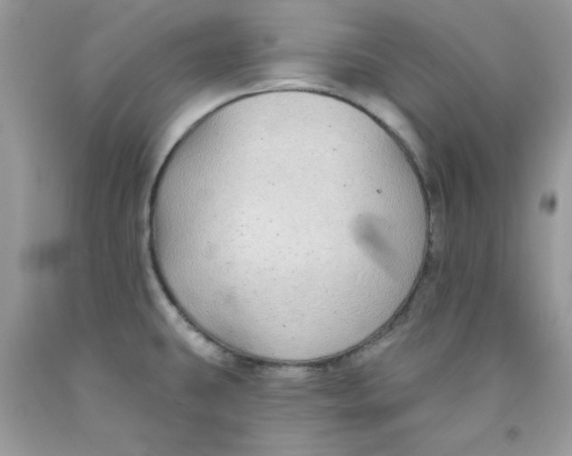 X0000091701431200709141050