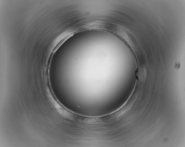 X0000091701434200709141050