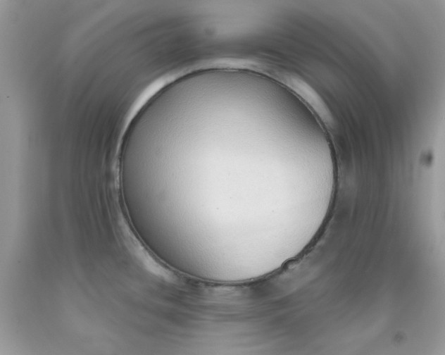 X0000091701436200709141050