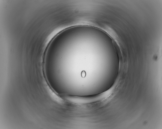 X0000091701438200709141050