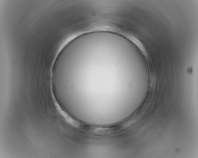 X0000091701439200709141050