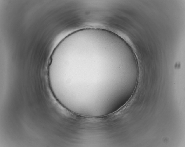 X0000091701440200709141051