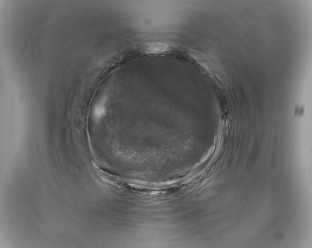 X0000091701441200709141050